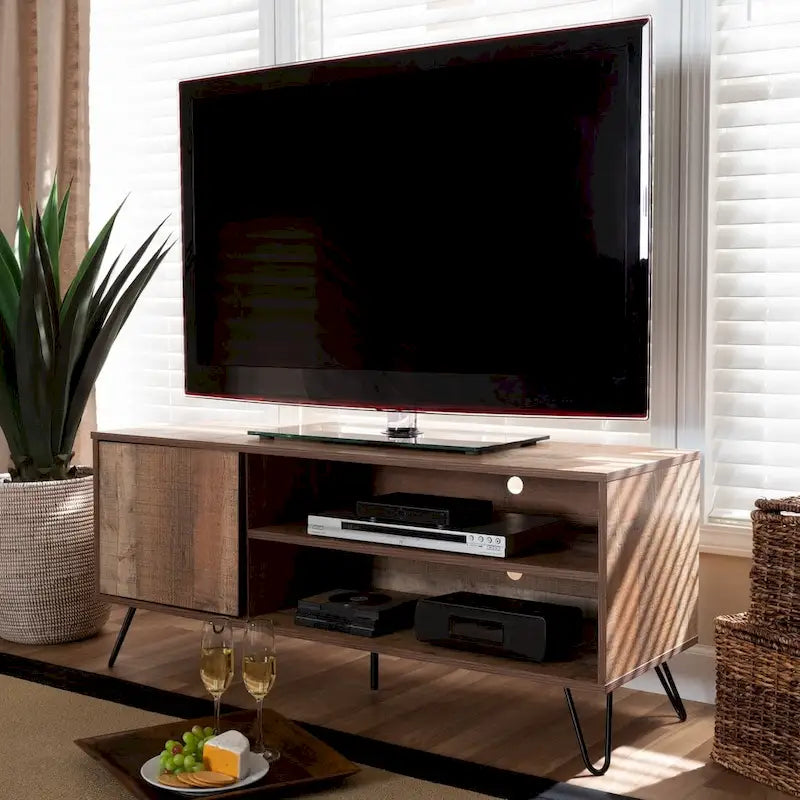Iver Modern and Contemporary 1-Door TV Stand
